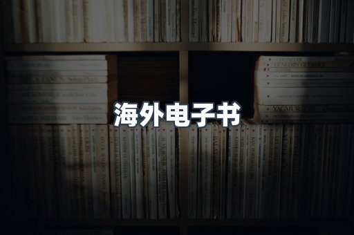 海外电子书