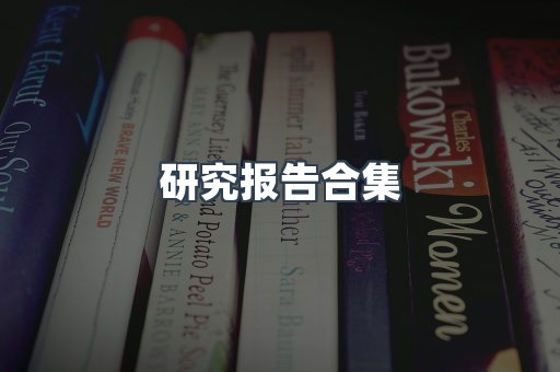 研究报告合集